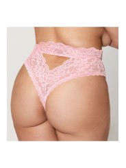 String grande taille dentelle taille haute rose - DG1477XPNK