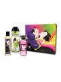 Coffret Baisers Fruités Shunga 3 produits - CC7000