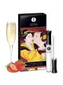 Grossiste Shunga gloss plaisir oral dropshipping