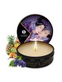 Grossiste Shunga : mini bougie massage fruit exotique