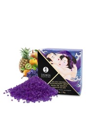 Grossiste Shunga : cristaux de mer fruit exotiques