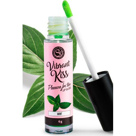 Grossiste dropshipping gloss sexe oral menthe vibrant