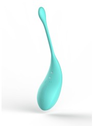 Distributeur coffret sex toys avec stimulateur et oeuf vibrant turquoise télécommandé.