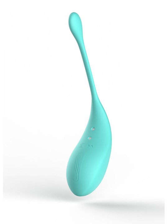 Distributeur coffret sex toys avec stimulateur et oeuf vibrant turquoise télécommandé.